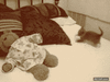 GIF animado (87346) Gato drogado