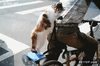 GIF animado (89925) Vamos alla baby