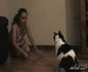 GIF animado (93031) Gatality