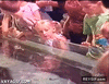 GIF animado (91415) No te acerques mas o lo pagaras